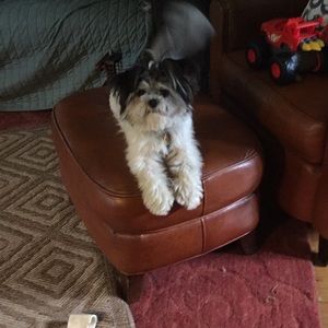 Meet your Posher, Laura